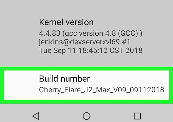 روش دوم: استفاده از Developer Mode برای تغییر تراکم پیکسلی 2