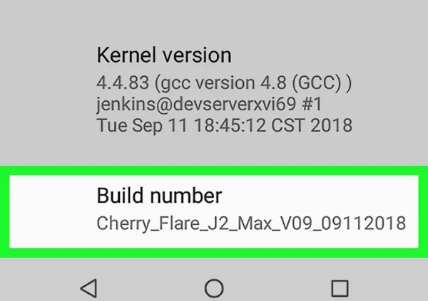 روش دوم: استفاده از Developer Mode برای تغییر تراکم پیکسلی 3