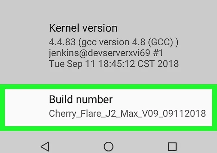روش دوم: استفاده از Developer Mode برای تغییر تراکم پیکسلی 3