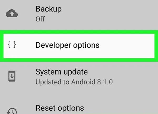 روش دوم: استفاده از Developer Mode برای تغییر تراکم پیکسلی 7