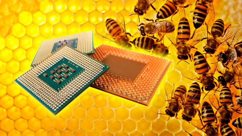 ساخت پردازنده از عسل