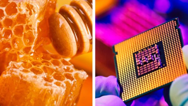 ساخت پردازنده از عسل