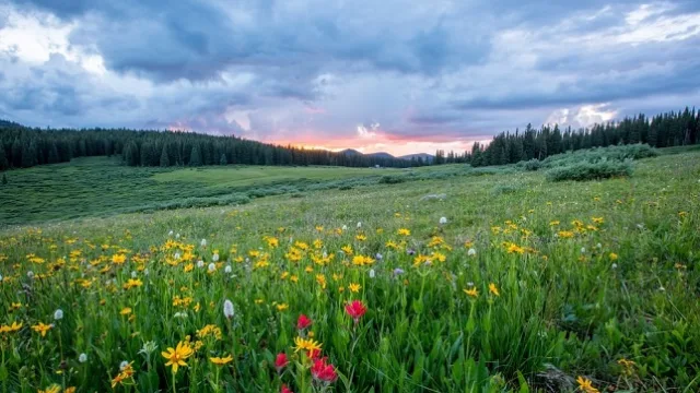 بهار 1401 به کجا سفر کنیم؟