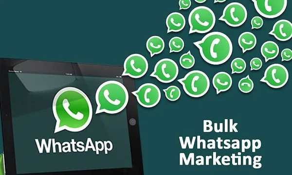 ارسال پیام تبلیغاتی واتساپ؛ بررسی روش ها، مزایا و بهترین سرویس