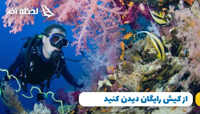 تور کیش ویژه تابستان 1401 در وب سایت لحظه آخر