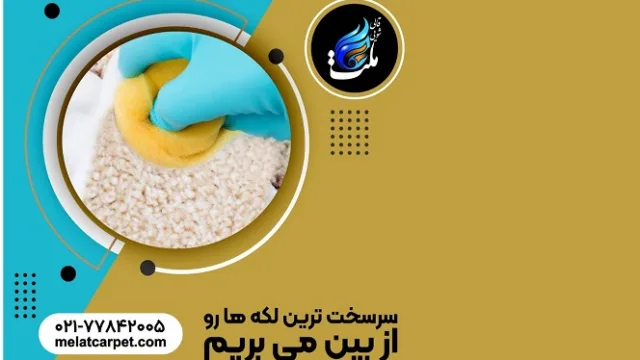 مزایای شیرازه فرش چیست؟