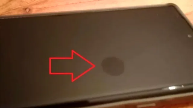 گوگل پیکسل 6