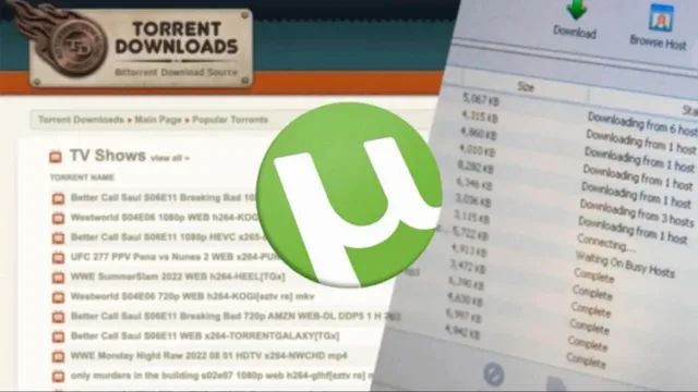 شبکه تورنت چیست؟ همه چیز درباره شبکه بیت تورنت و نحوه کار Torrent