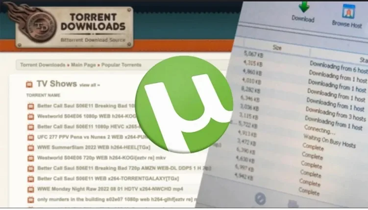 شبکه تورنت چیست؟ همه چیز درباره شبکه بیت تورنت و نحوه کار Torrent