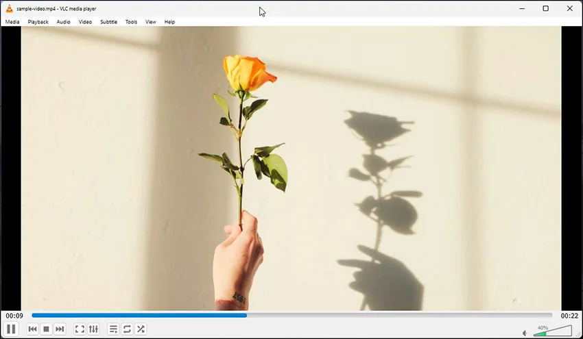 VLC Media Player