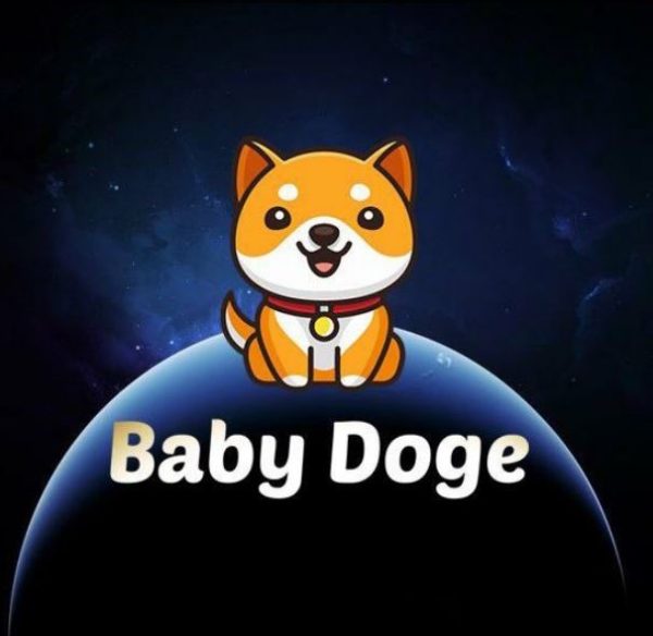 معرفی کیف پول‌های سخت افزاری برای نگهداری Baby Doge