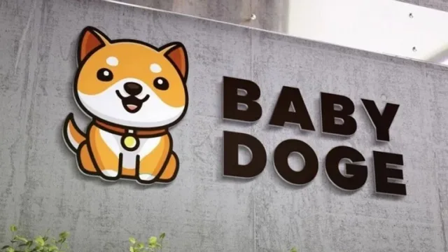معرفی کیف پول‌های سخت افزاری برای نگهداری Baby Doge