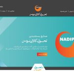 دستگاه های بسته بندی ریلی و صندوقی و کابینی و خشکبار در شرکت نادی پک