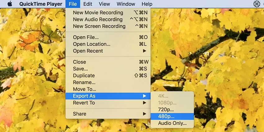 QuickTime Player