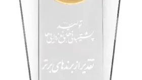 آجر نسوز سهیل تولید کننده انواع آجر نما
