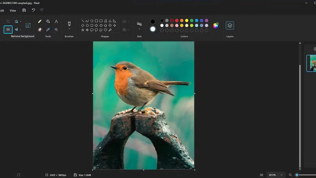 مایکروسافت Paint