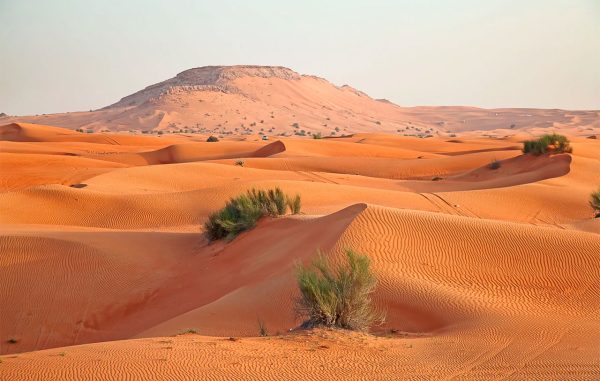 بیابان عربستان