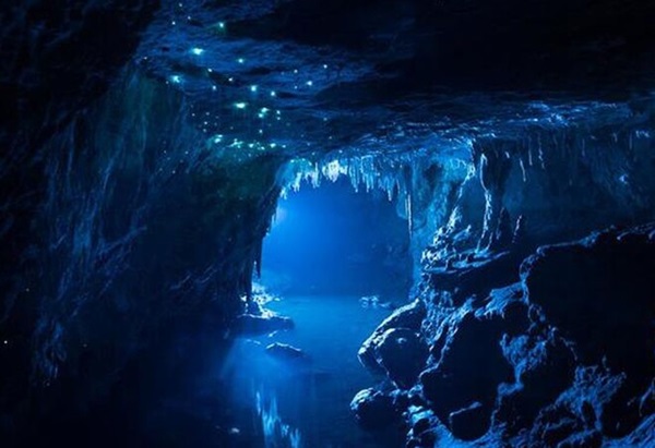 غار ویتومو (Waitomo Caves)، نیوزیلند