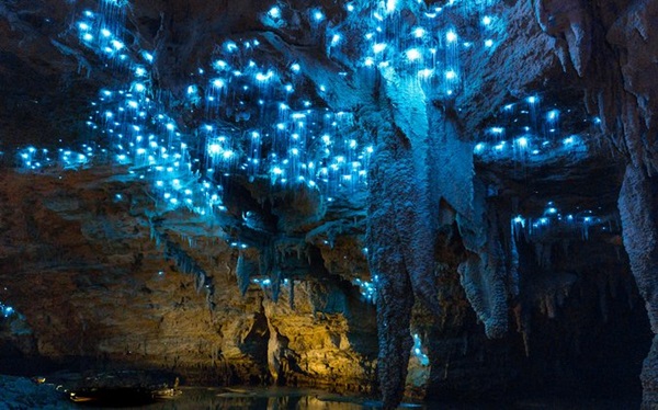 غار ویتومو (Waitomo Caves)، نیوزیلند