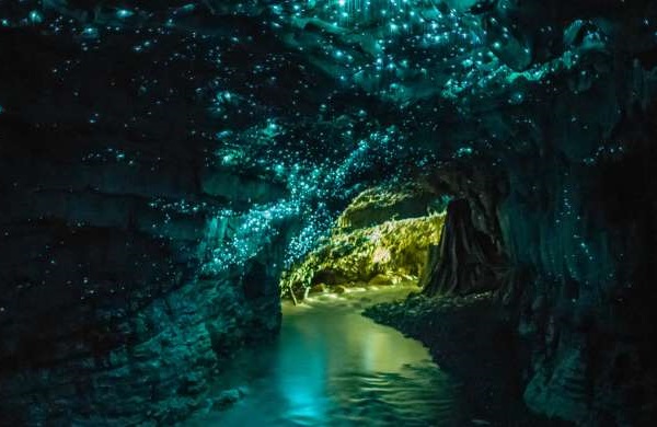 غار ویتومو (Waitomo Caves)، نیوزیلند