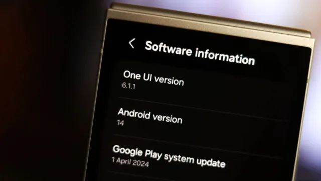 One UI 6.1.1