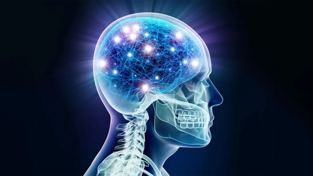 خاطرات فقط در مغز ذخیره نمیشوند