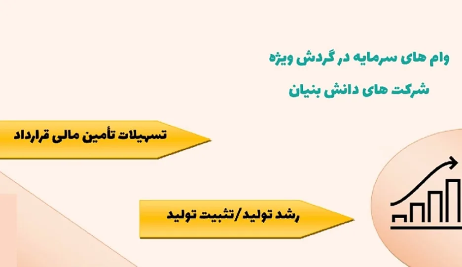 از تسهیلات بانکی برای جذب سرمایه