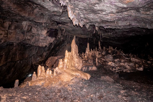 غار تایوس (Cueva de los Tayos)، اکوادور 