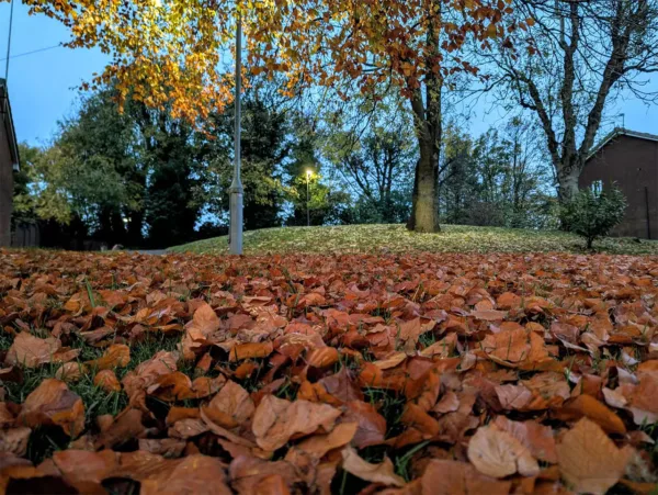 ثبت عکسهای جذاب با موبایل