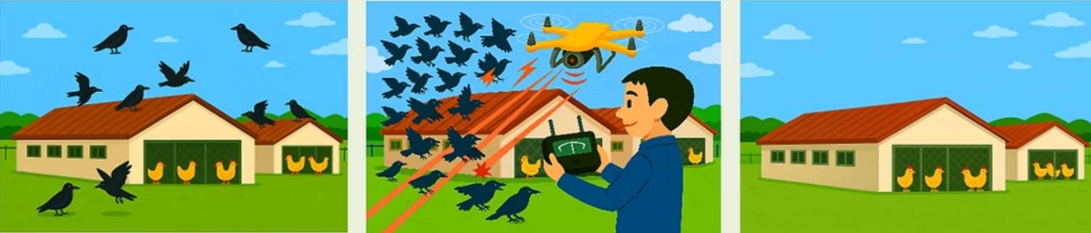 مقابله با آنفولانزای پرندگان با پهپاد لیزری؛ نوآوری جدید ژاپن برای امنیت غذایی مقابله با آنفولانزای پرندگان با پهپاد لیزری