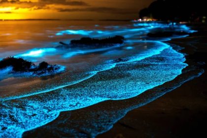 امواج شب تاب