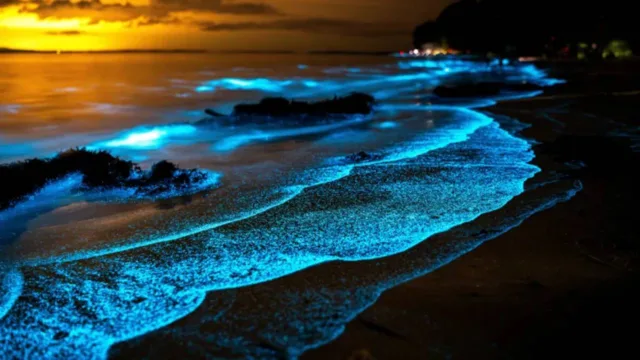 امواج شب تاب