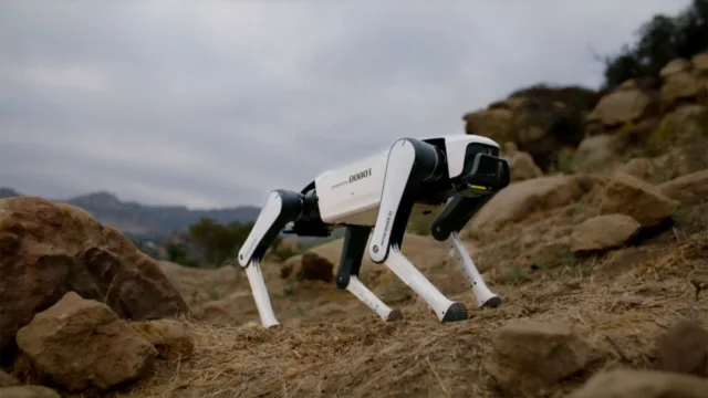سگ رباتیک Rover X1