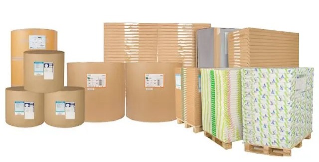 کشف دنیای کاغذ، بیانی از انواع کاغذ پرکاربرد از تحریر تا ایندربرد برای چاپ و بسته‌بندی