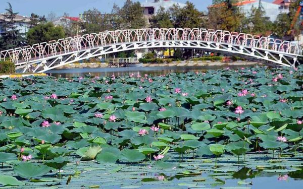 بلیط اتوبوس لنگرود به تهران با علی بابا: راهنمای رزرو فوری بلیط اتوبوس لنگرود به تهران با علی بابا