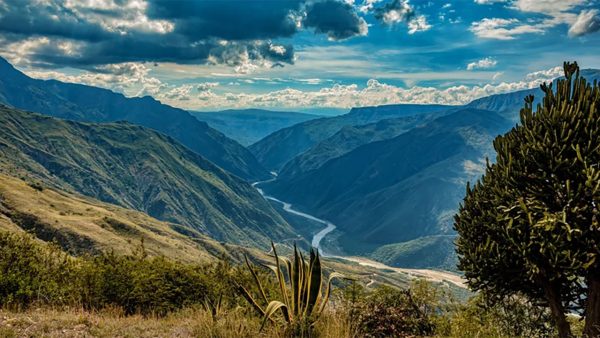 بقایای 6000 ساله کلمبیا؛ کشف قبیلهای که از صفحه تاریخ محو شده است! بقایای 6000 ساله کلمبیا