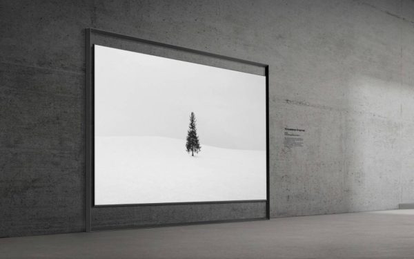 سامسونگ از اولین تلویزیون 130 اینچی Micro RGB جهان در CES 2026 رونمایی کرد اولین تلویزیون 130 اینچی Micro RGB جهان