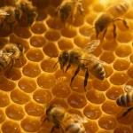 10 دانستنی شگفت‌انگیز درباره زنبور عسل و راز تولید عسل