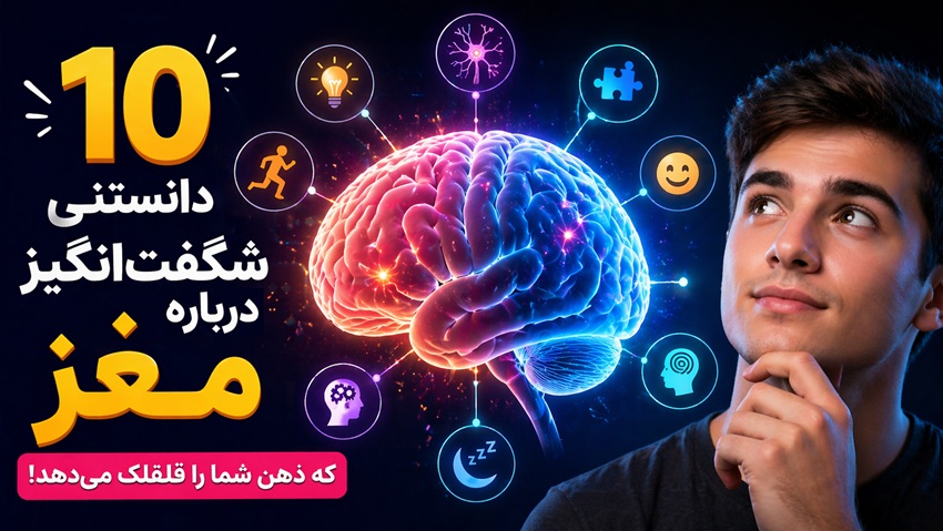 10 دانستنی شگفت‌انگیز درباره مغز که ذهن شما را قلقلک می‌دهد