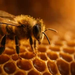 T-Force هنوز انسانی است؛ پاسخ غیرمنتظره T-Mobile به موج هوش مصنوعی